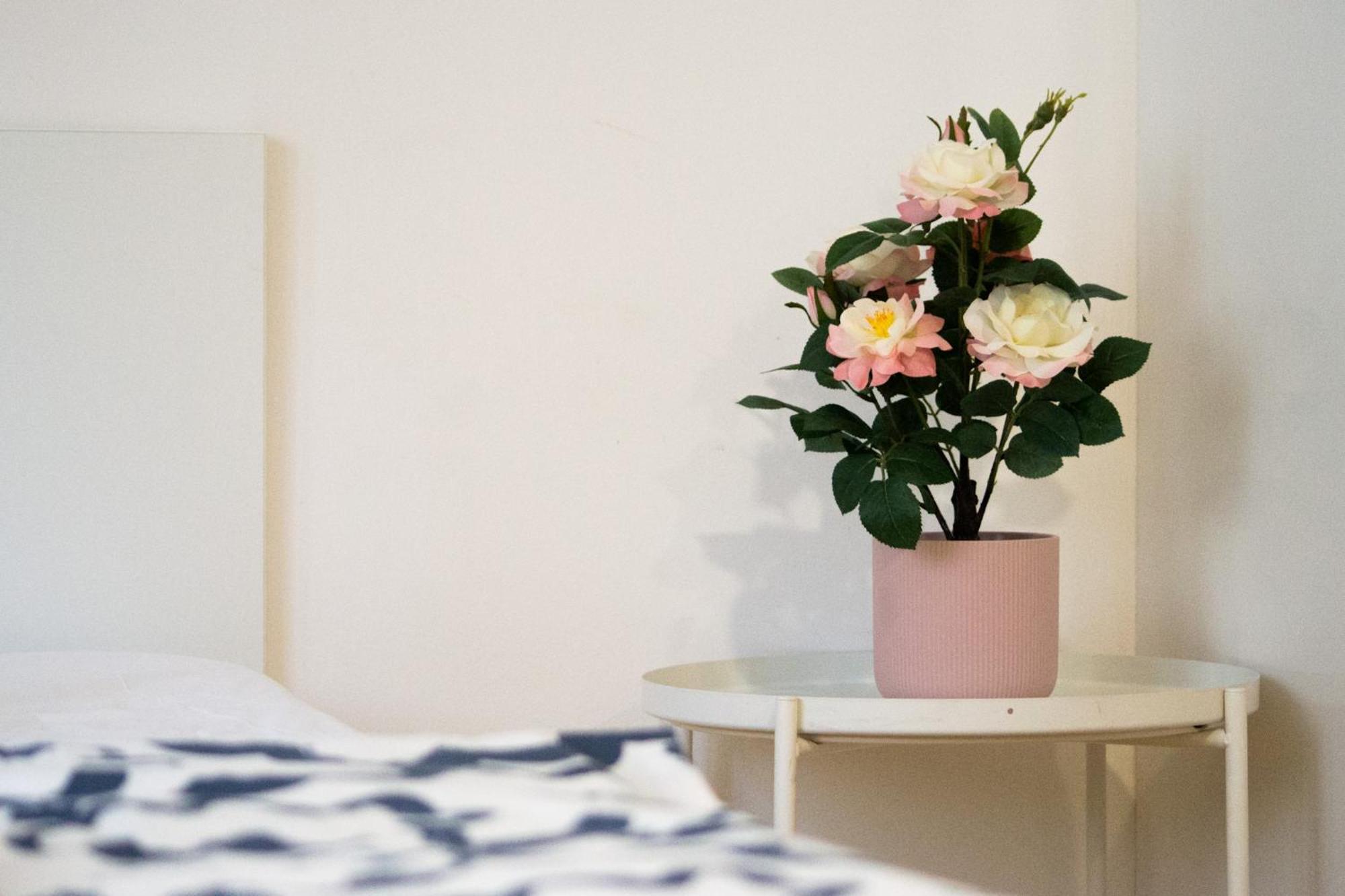 Apartman Vlna Apartment Бърно Екстериор снимка